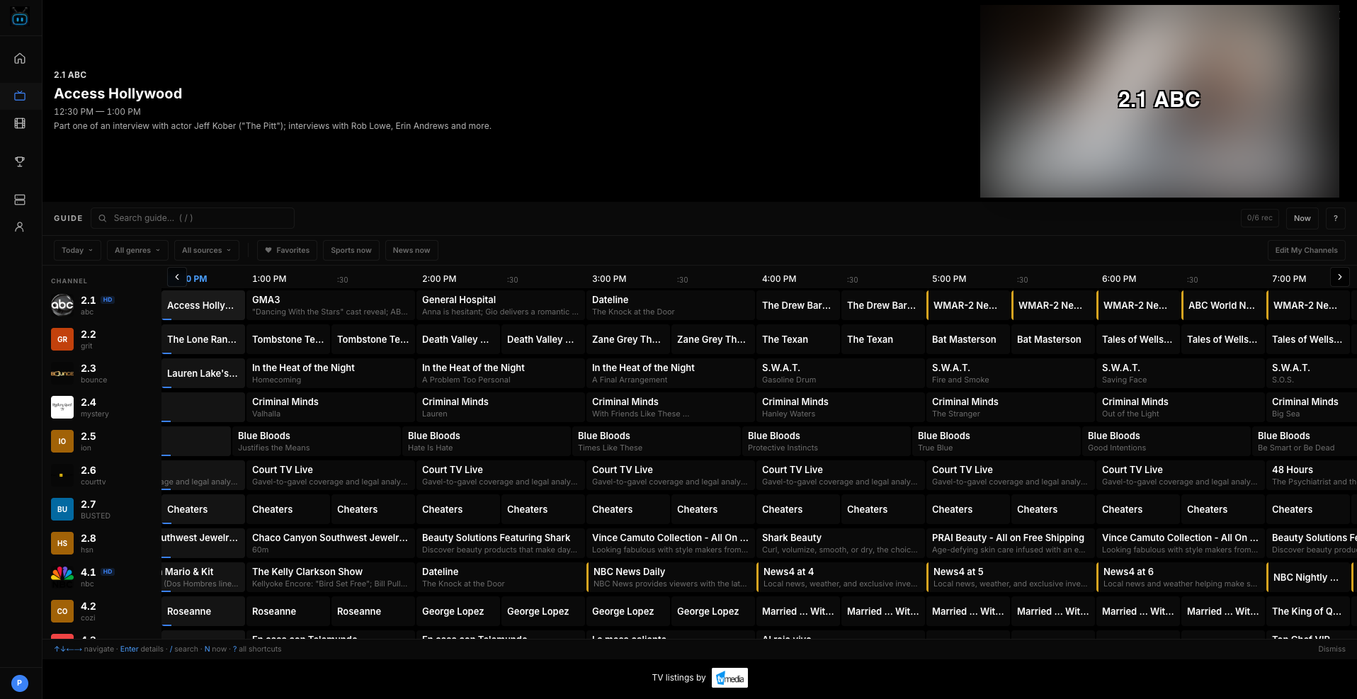 The TIBBL web guide: a timeline grid of channels for the afternoon, with filter chips, channel logos, programme details in the header and a live preview pane in the corner